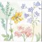 Peaceful Petals by Beth Grove 14" x 14" Canvas Wall Art (Set of 2)